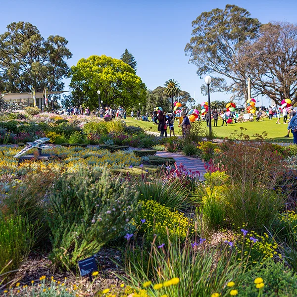 Kings Park Festival