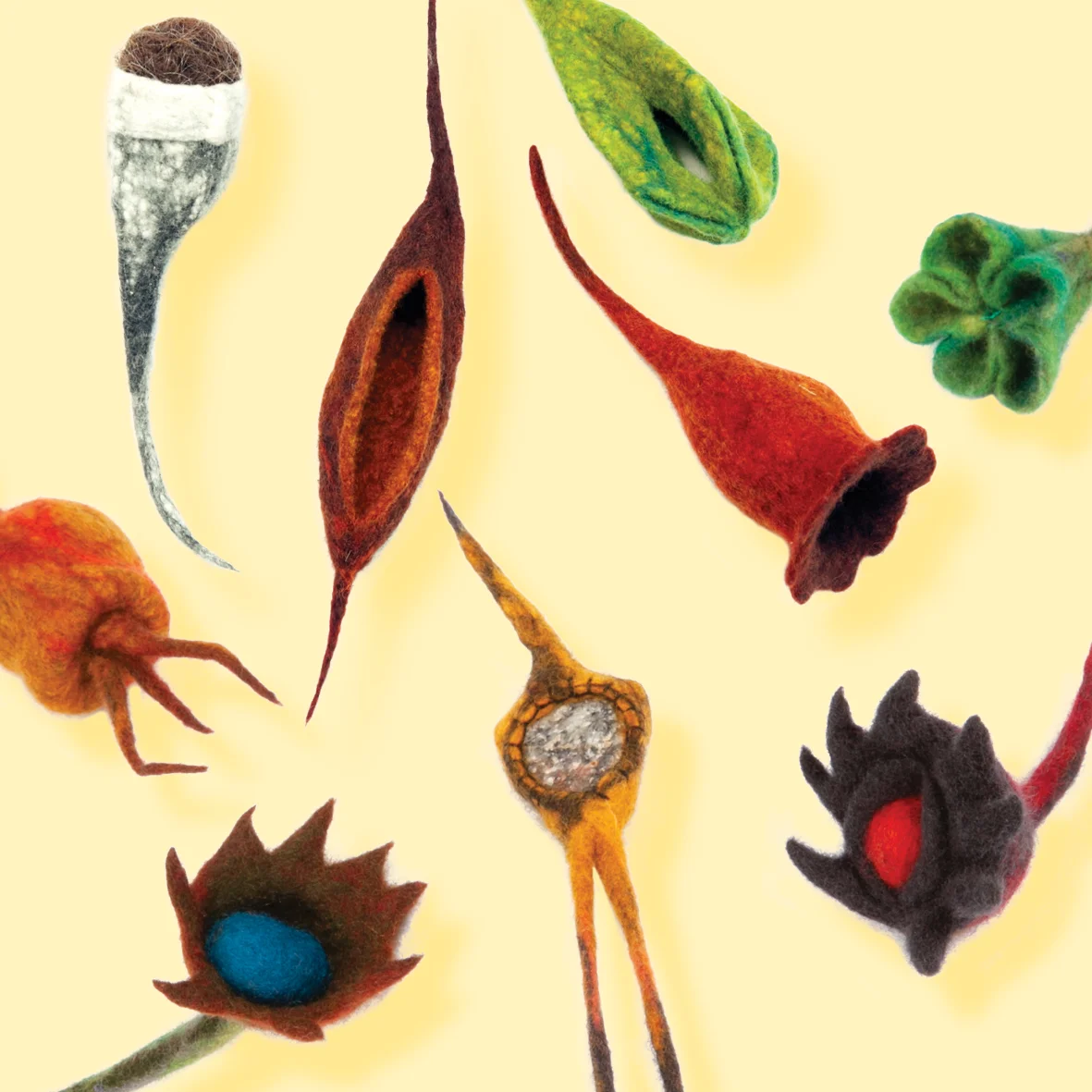 Seeds, Pods and Pollen 