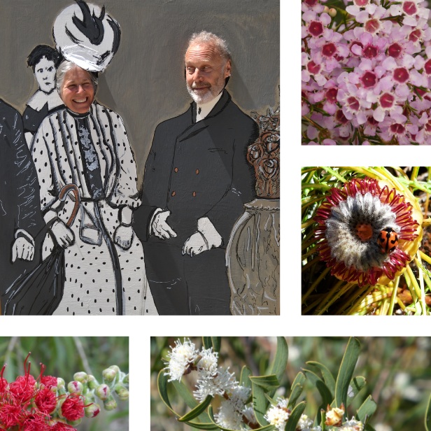 MHHS+Wildflower+Sale+with+Historical+Cutout.jpg