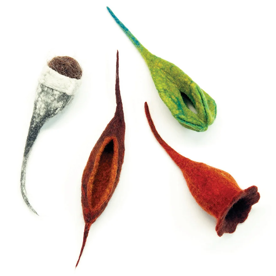 Felted Pods with Katrina Virgona