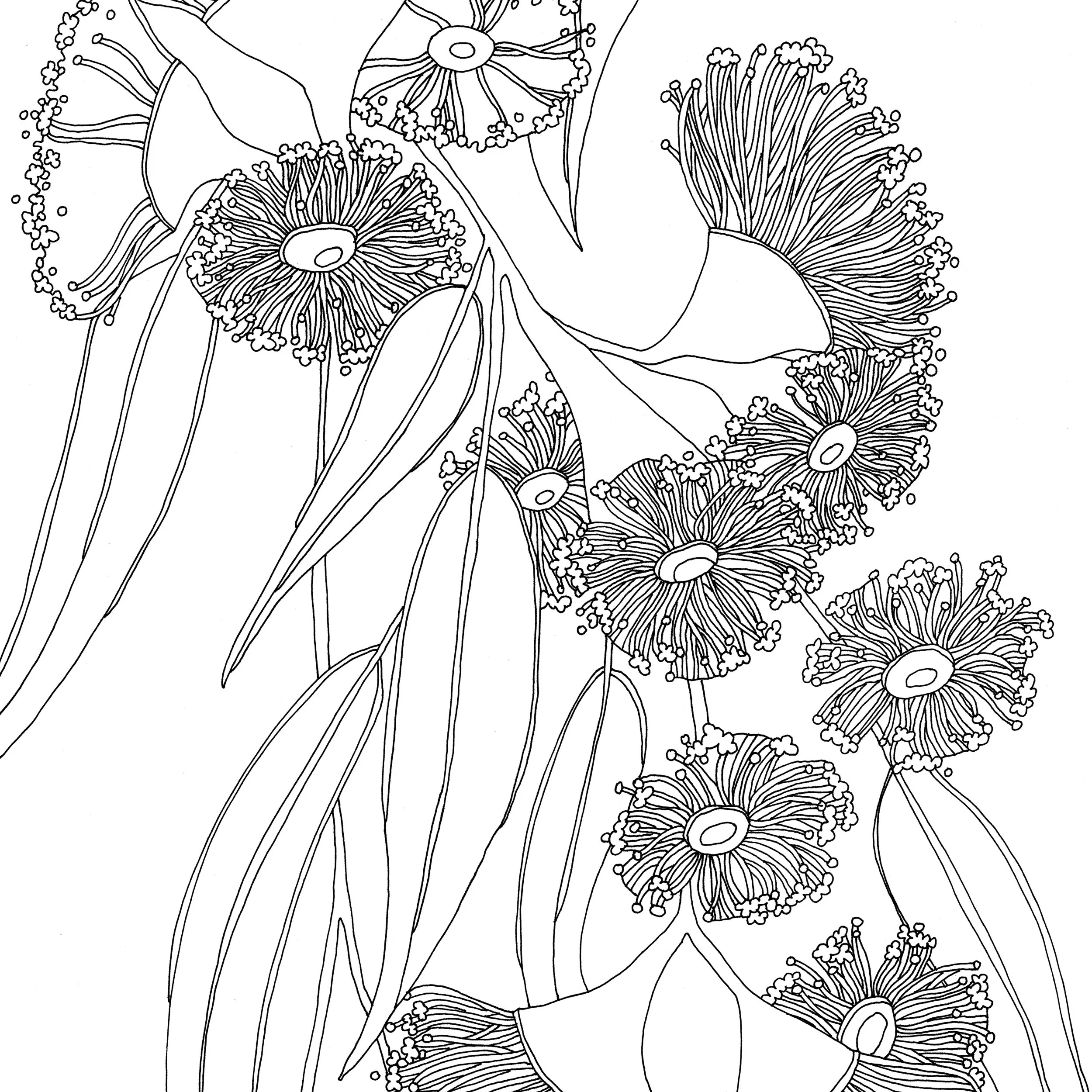 What on Earth Colouring Competition