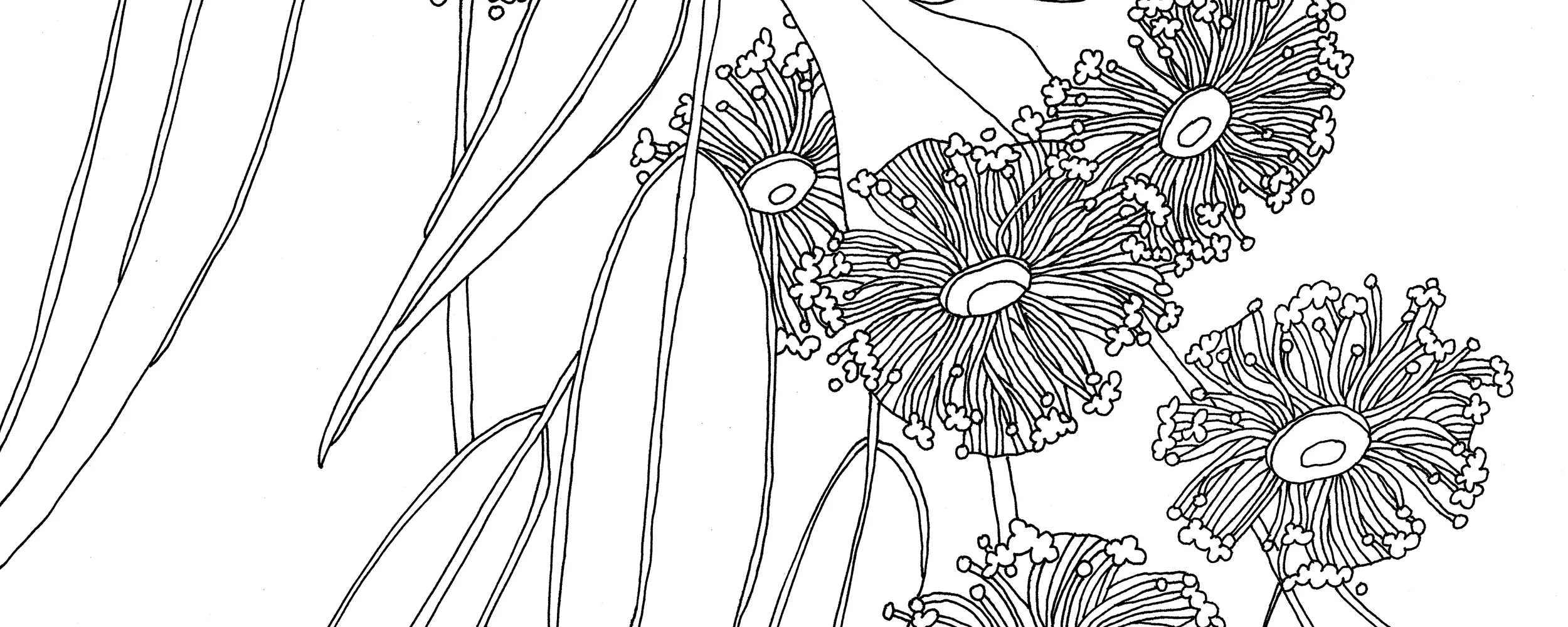 WEB_Colourin in.jpg