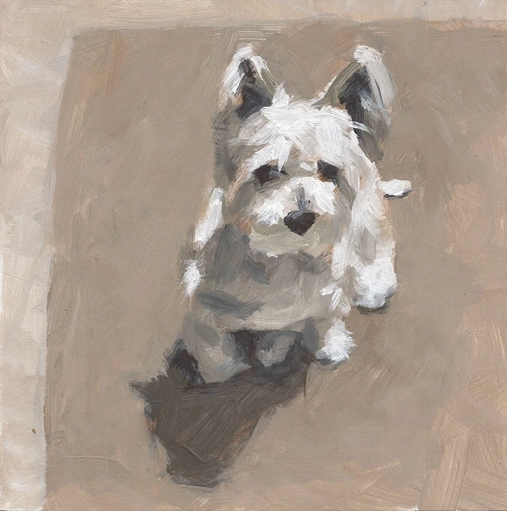 Pet Portraits with Alastair Taylor