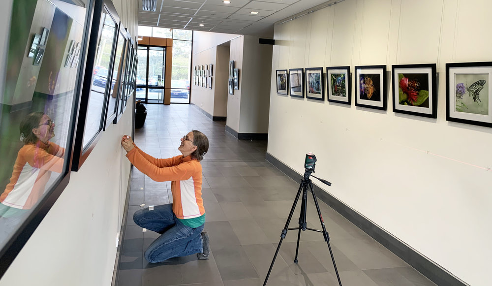 Clare putting the final touches on the WOE photography install.jpg