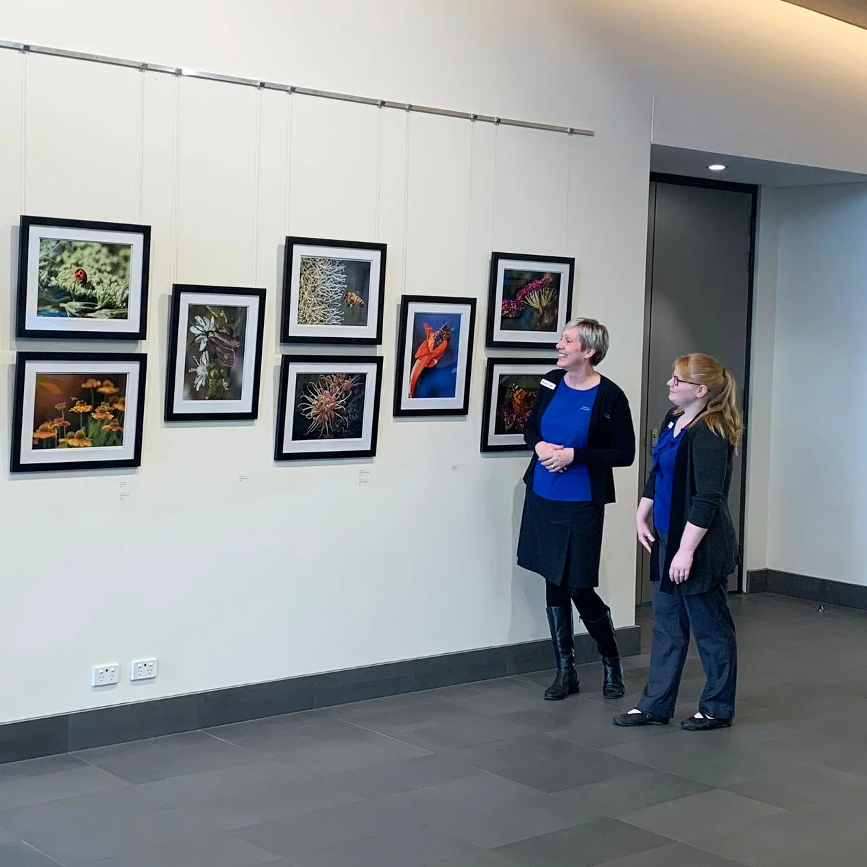 Plants and Pollinators Competition and Exhibition 