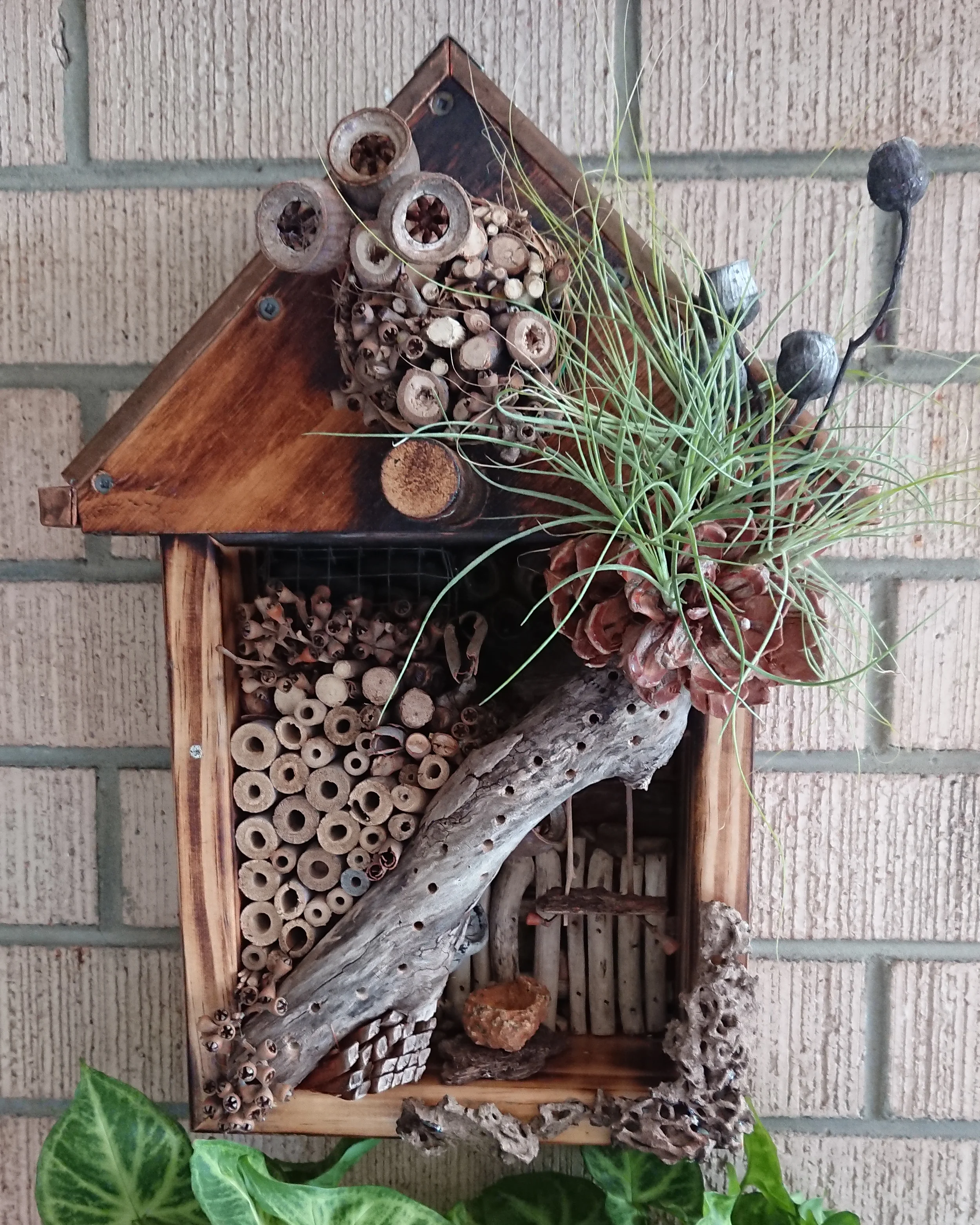 Building a Native Bee House