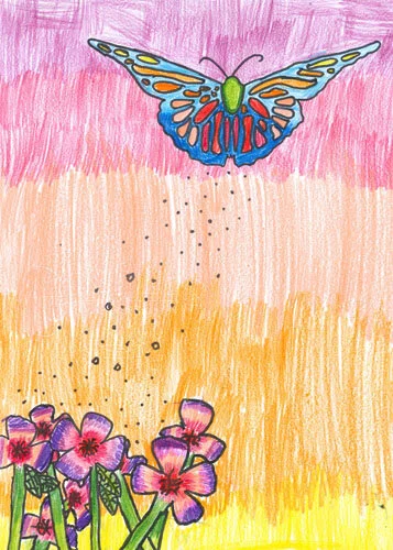 Winning Designs_2019-1.jpg