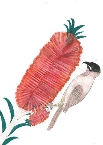 Winning Designs_2019-7.jpg