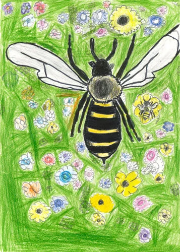 Winning Designs_2019-11.jpg