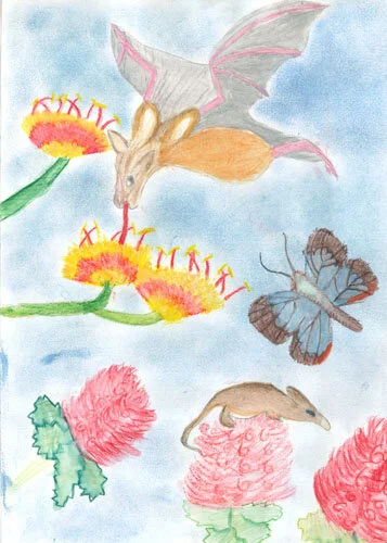 Winning Designs_2019-19.jpg