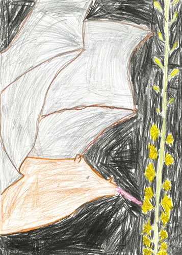 Winning Designs_2019-23.jpg