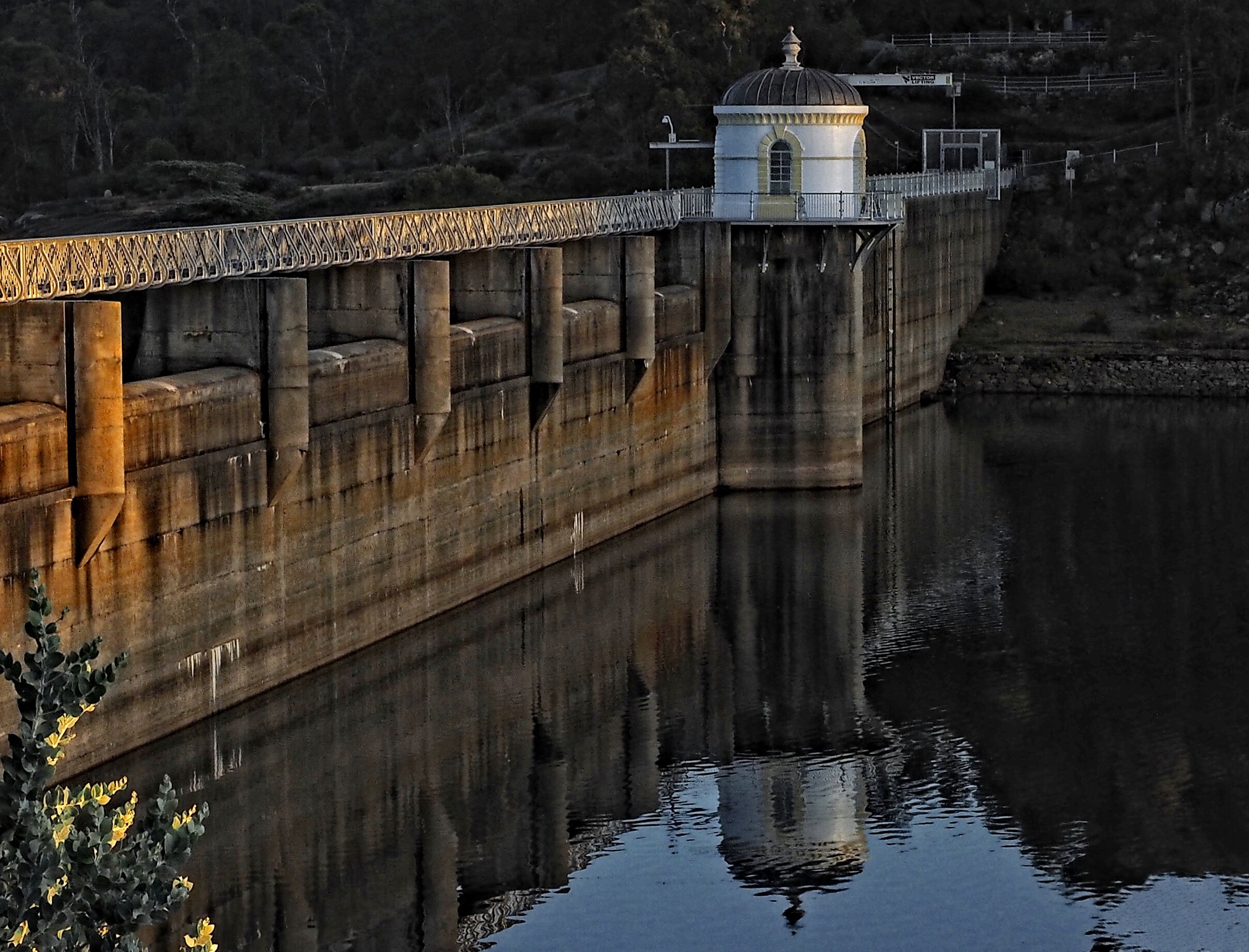 THE WEIR Ron Dullard.jpg