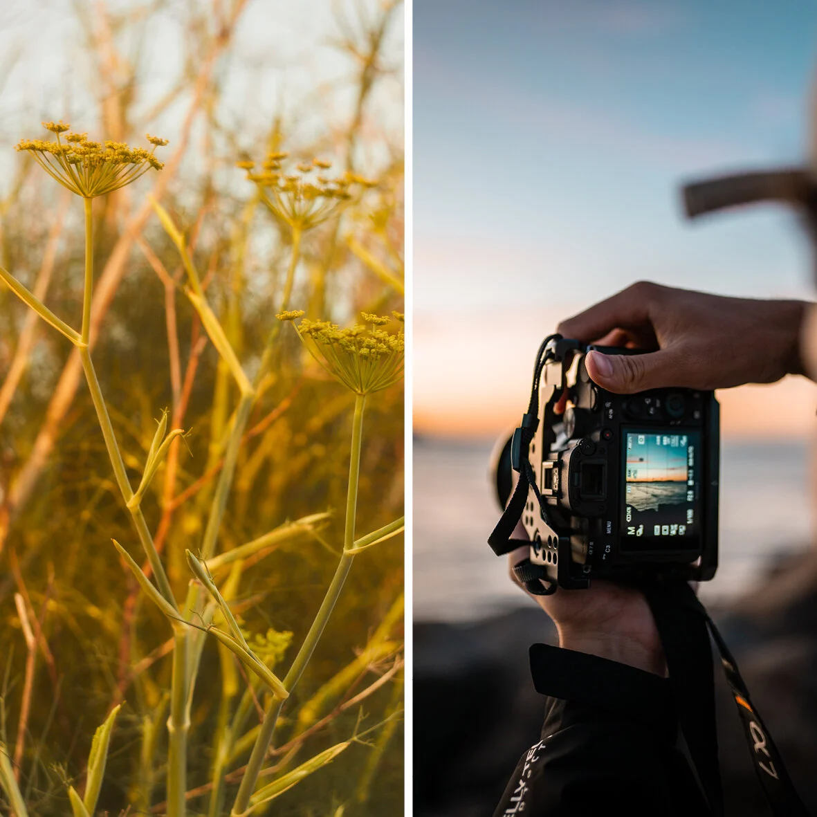 Photography Field Trip with Duncan Wright: Boya Quarry