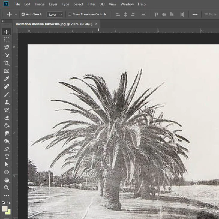 Design Skills: Posters &amp; Invites with Monika Lukowska