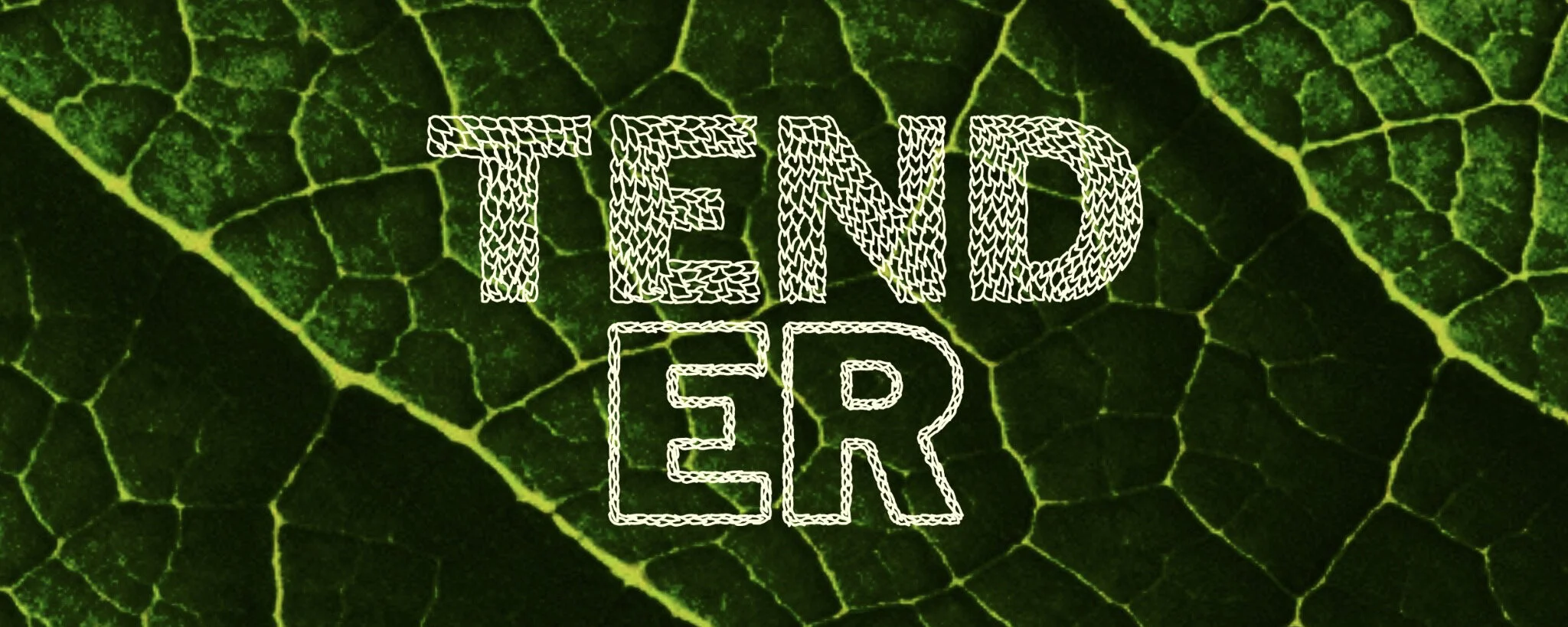Tend:er_WEB.jpg