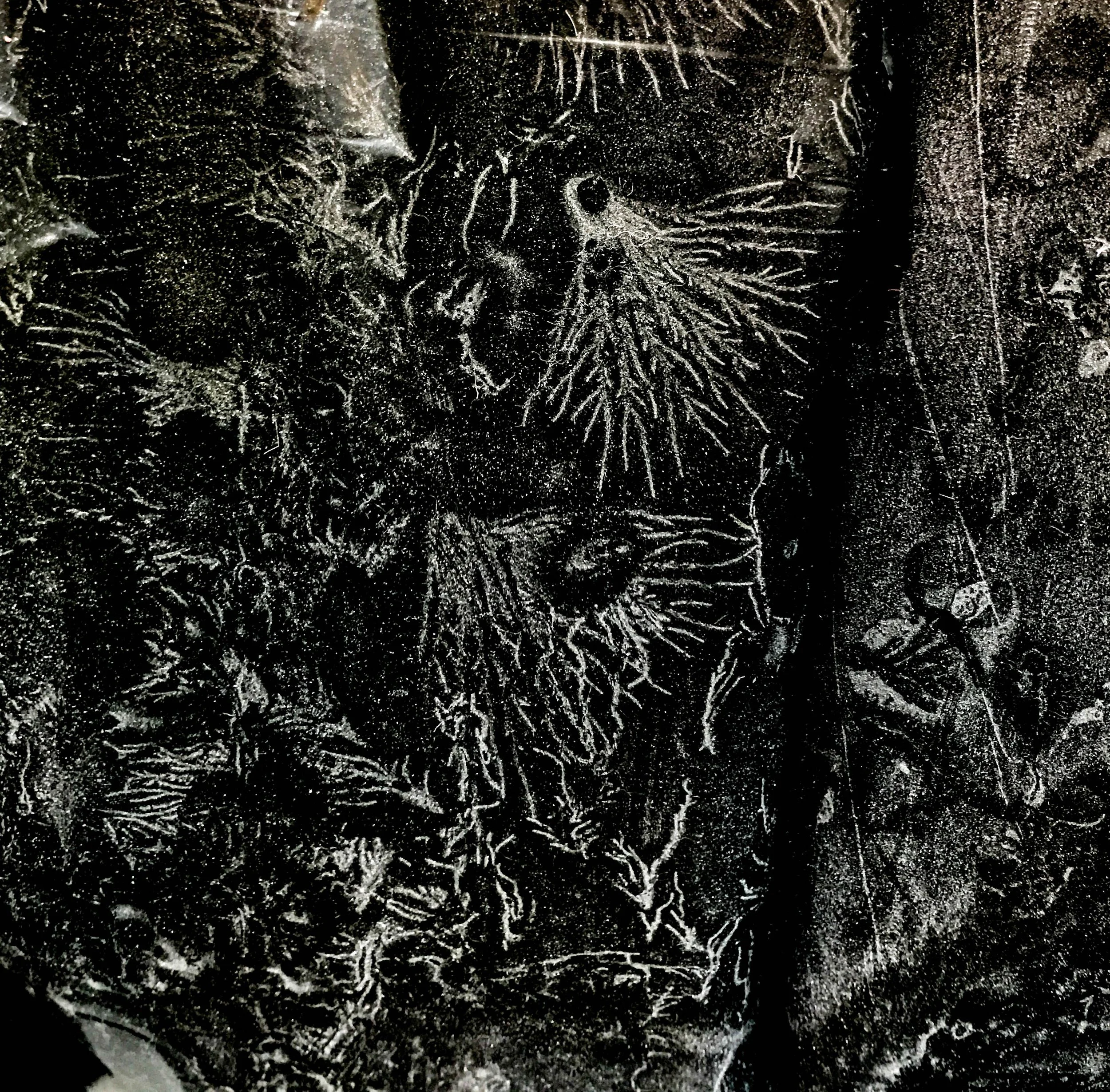  Joanna Sulkowski,  Powder Patterns,  2024  Highly Commended 