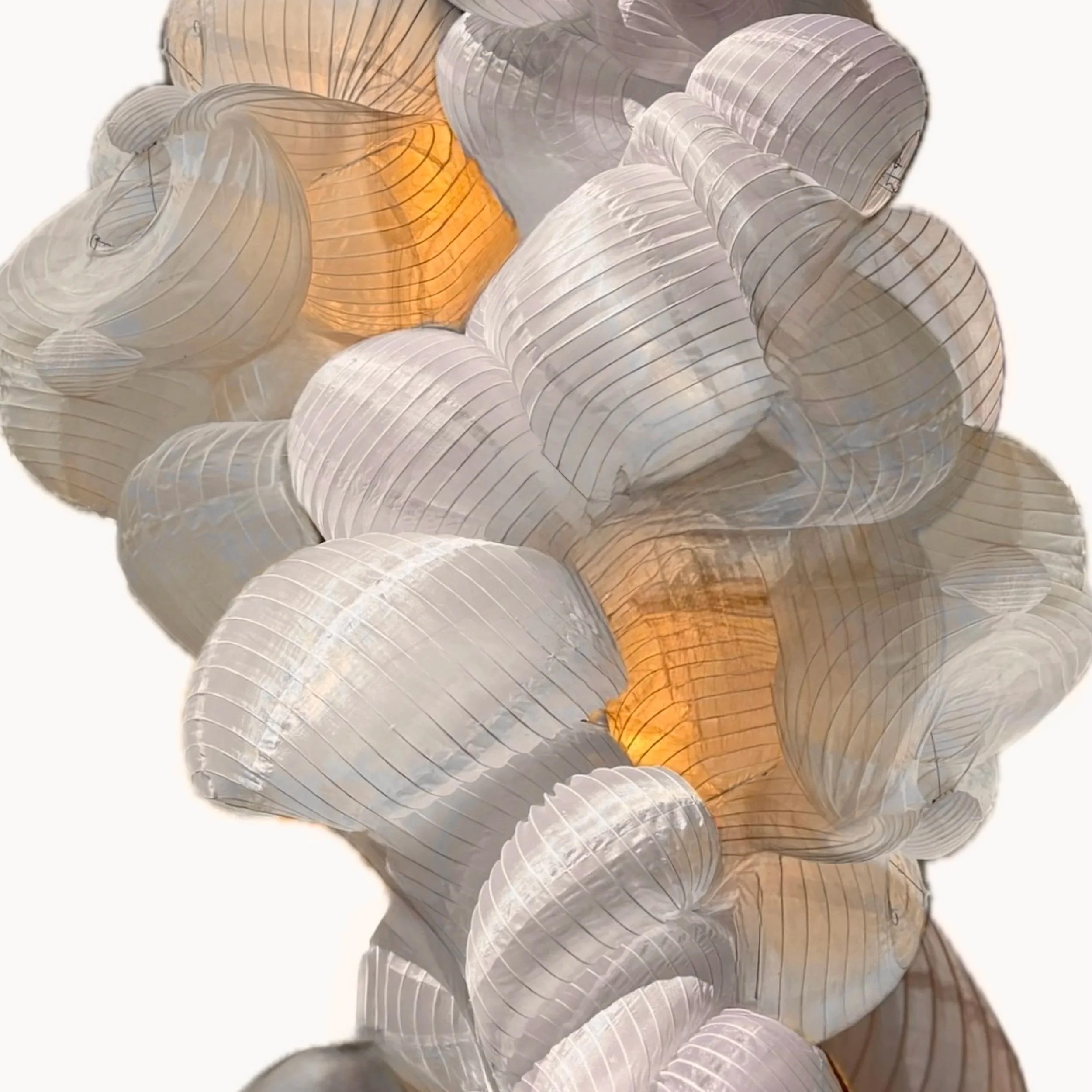 PAPER THIN, SKIN DEEP