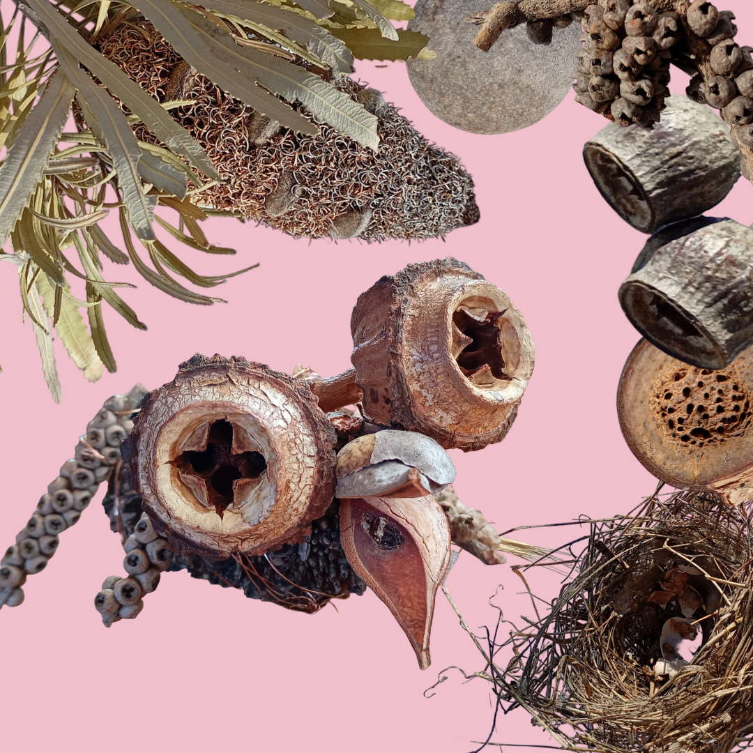 CONNECTING COMMUNITY, STRONGER TOGETHER EXPO | FORAGE TOGETHER DROP-IN WORKSHOP