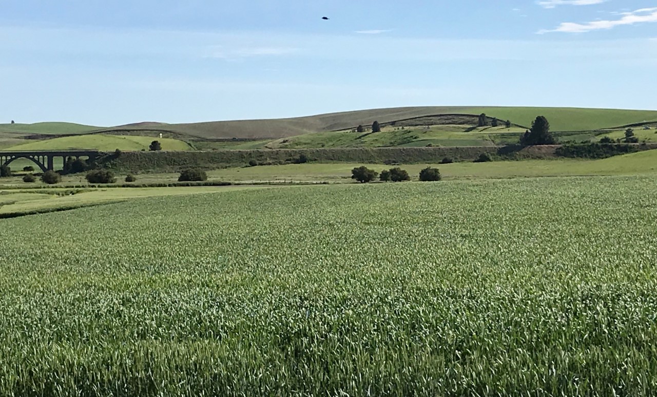 thumbnail_IMG_7667 Large format.jpg