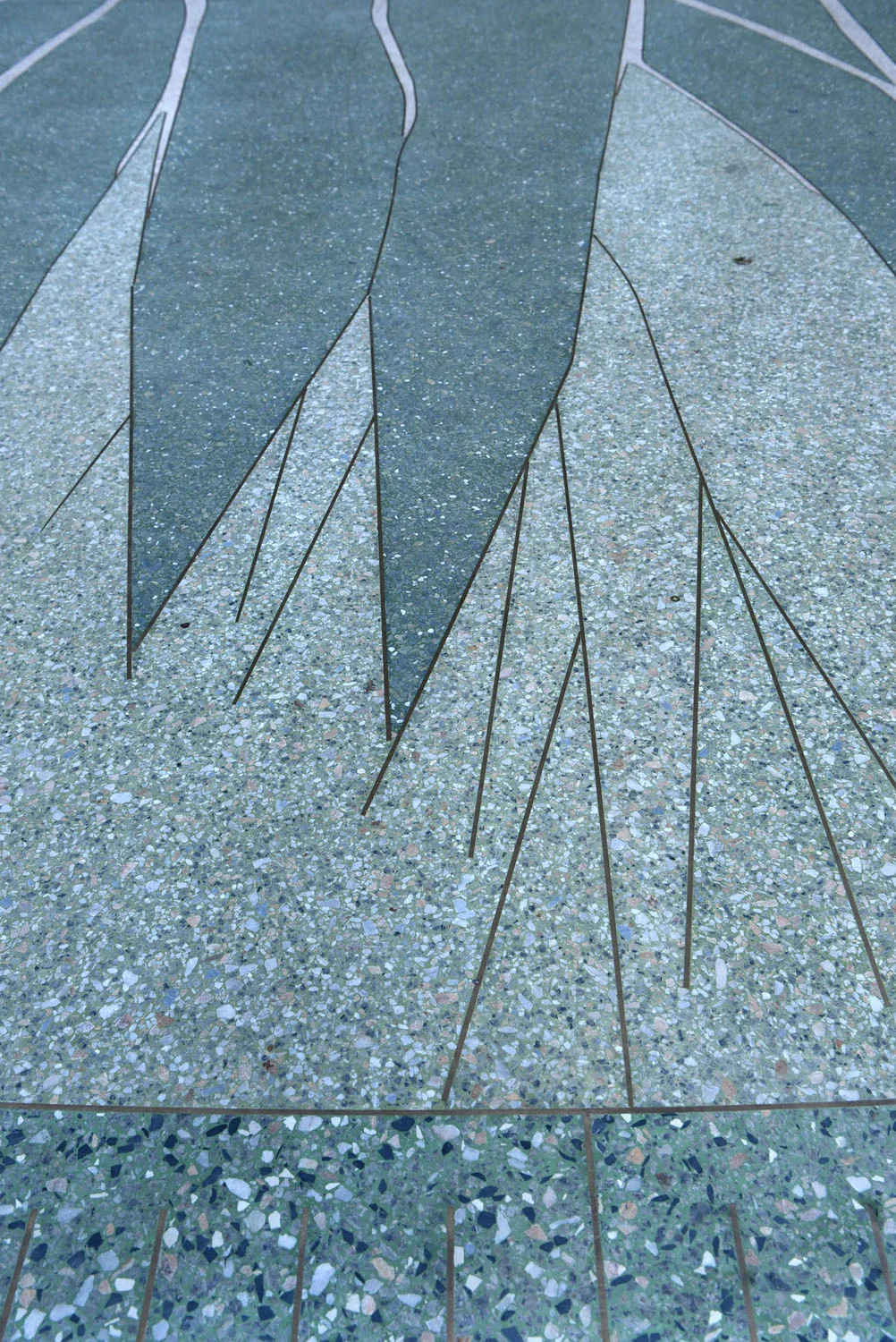 ACC.5.jpg