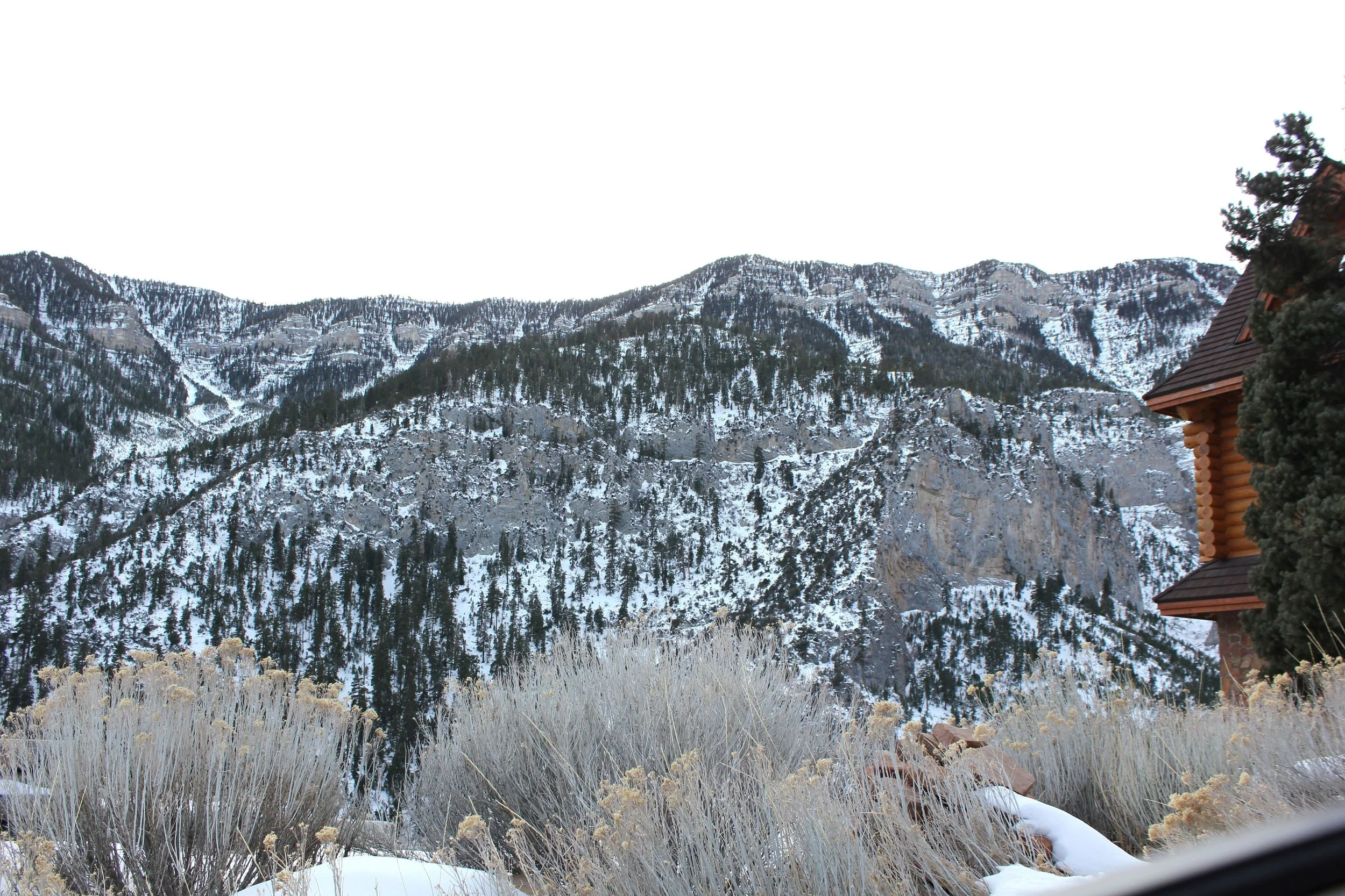 Snow in Mt. Charleston, NV.