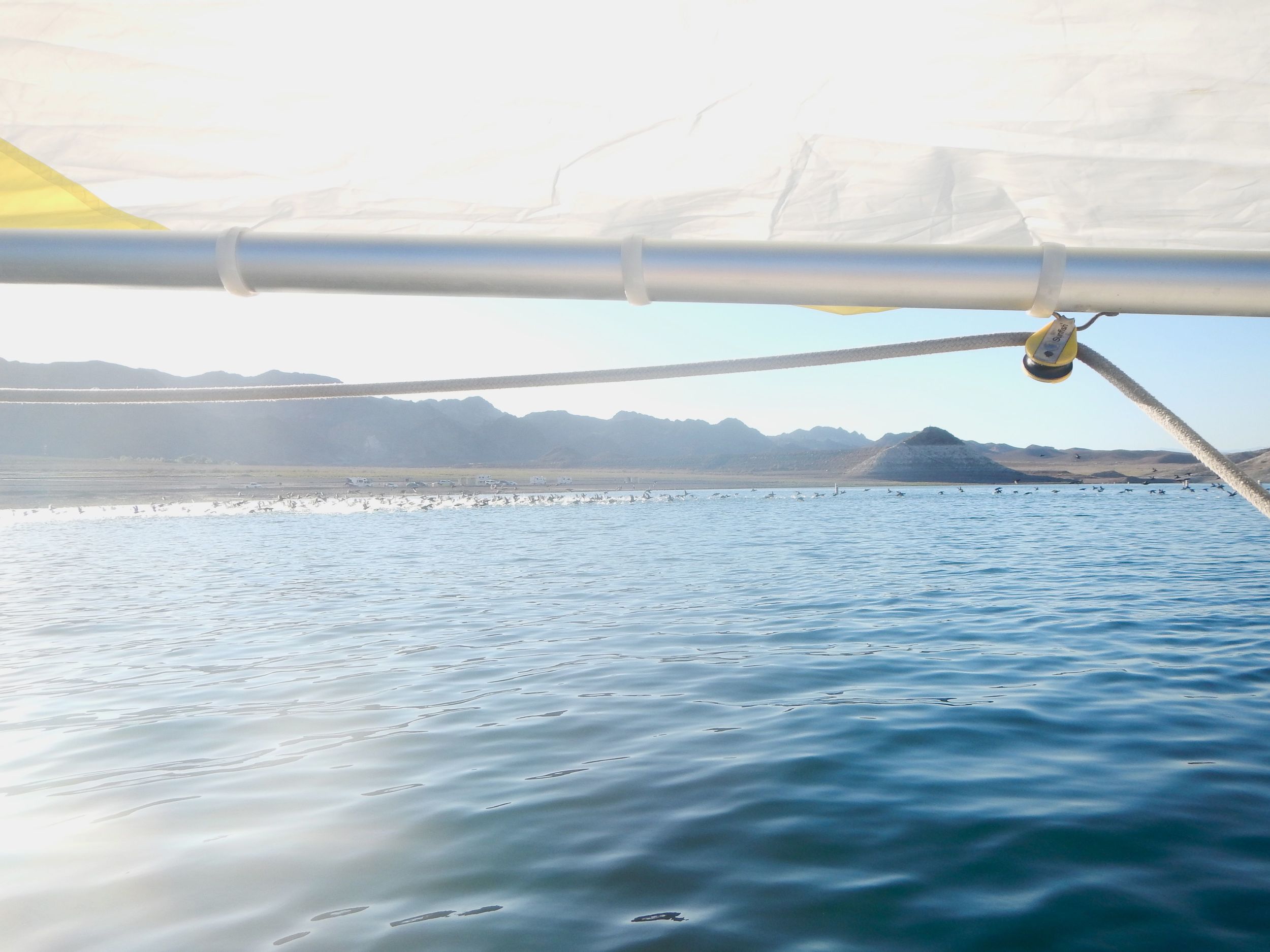 Sailing on Lake Mead, NV.