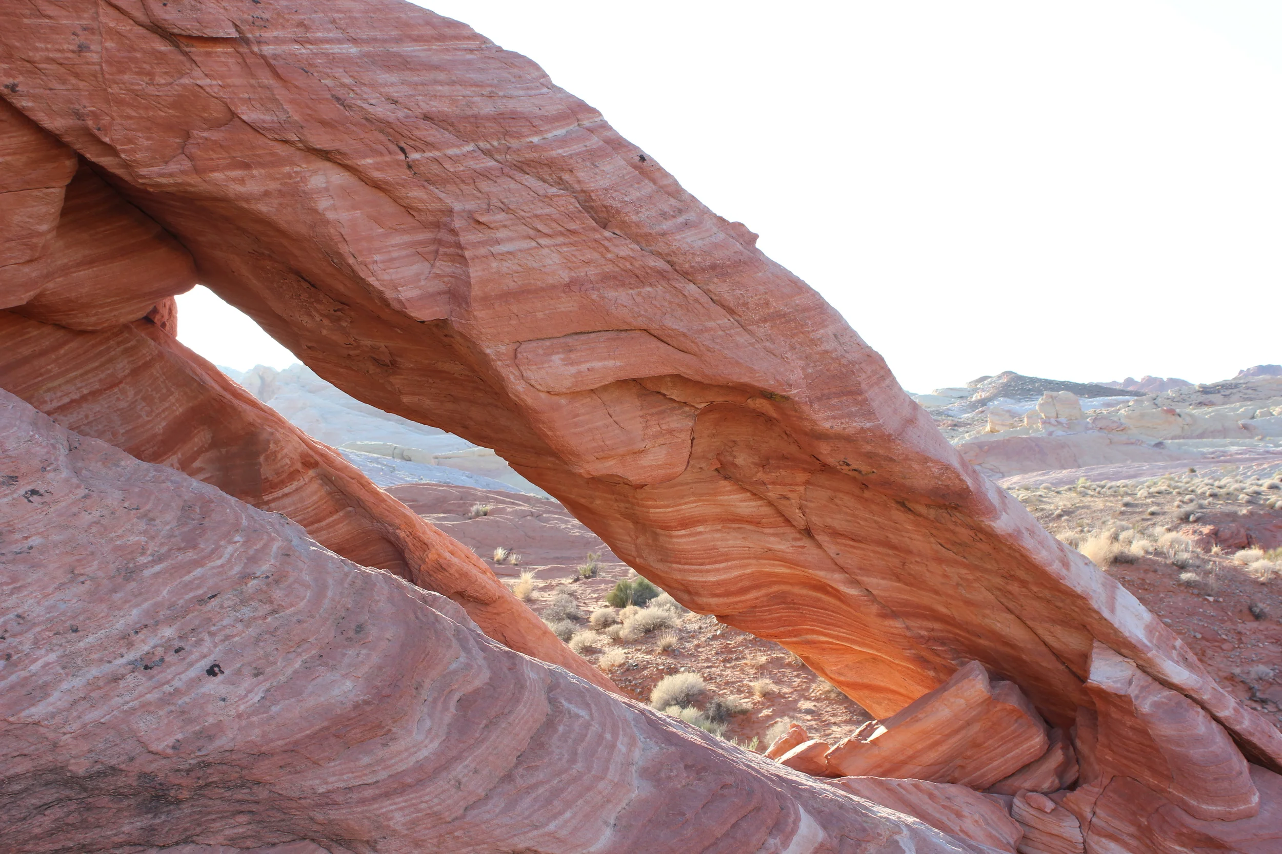 Exploring Valley of Fire, NV.