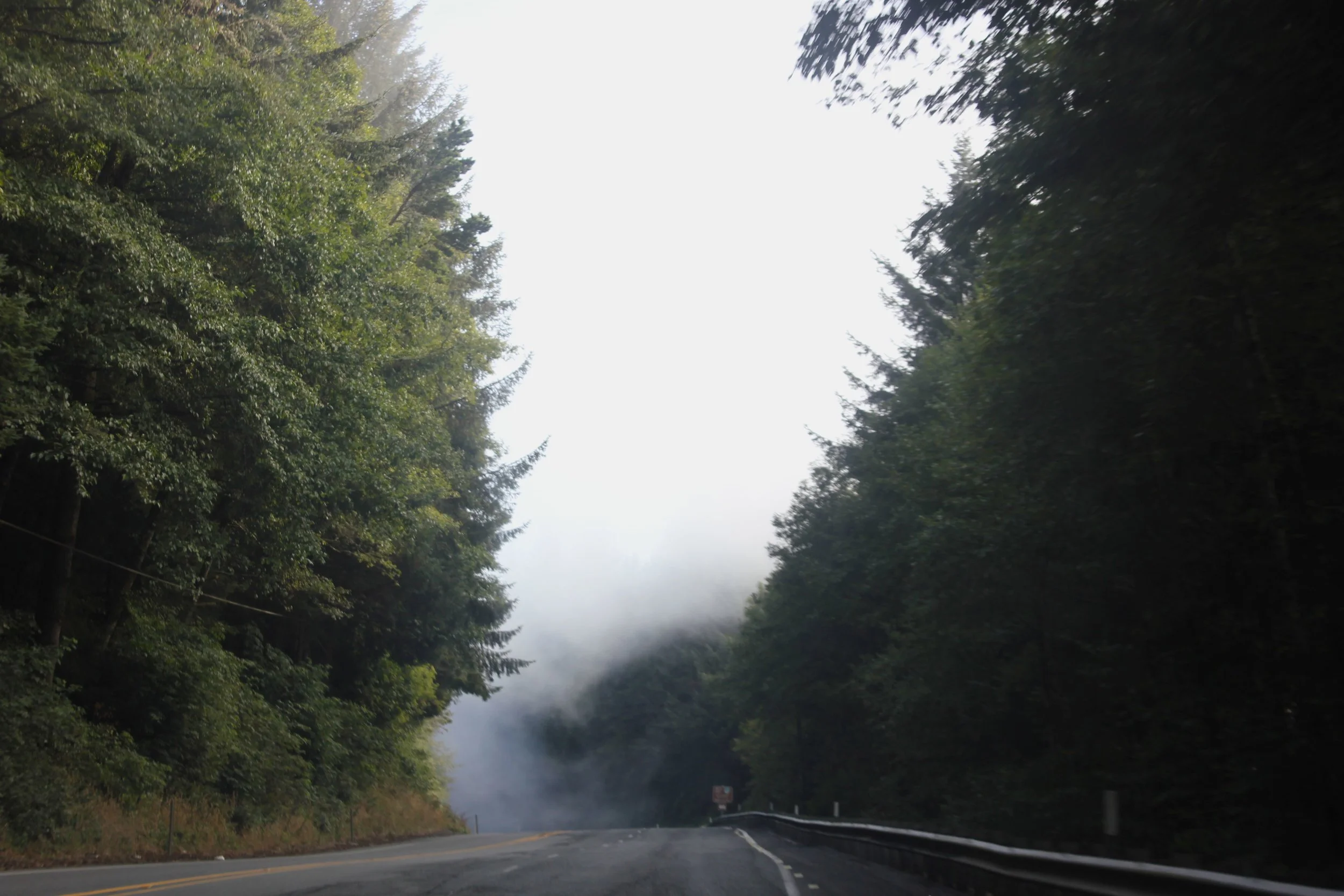 that afternoon fog