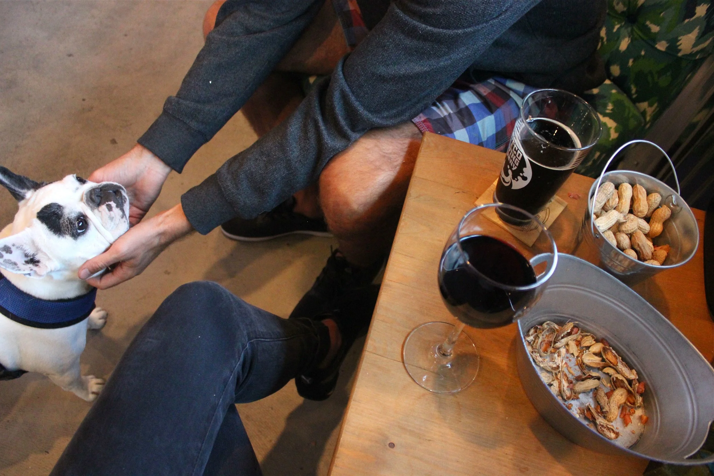 pup friendly pubs :)