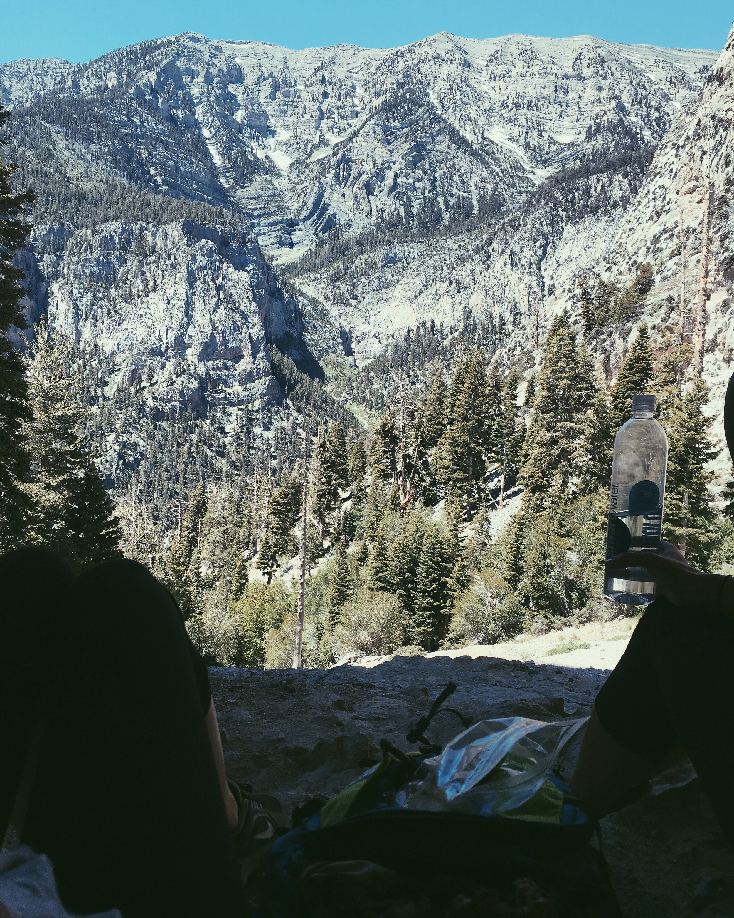 4. Mountain escapes with my college bestie. Mt. Charleston, NV.