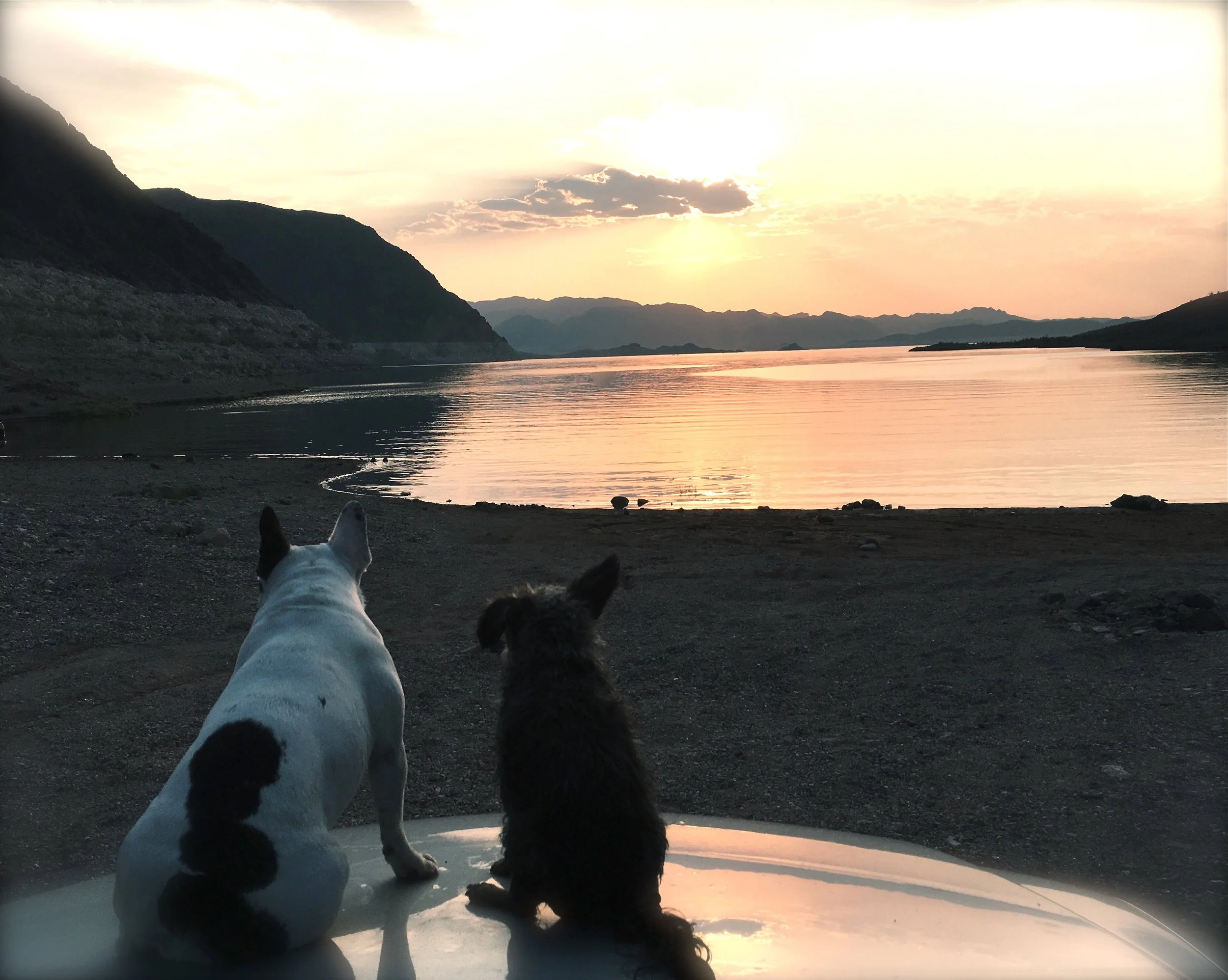 10. when Roman found summer love.. Lake Mede, NV.