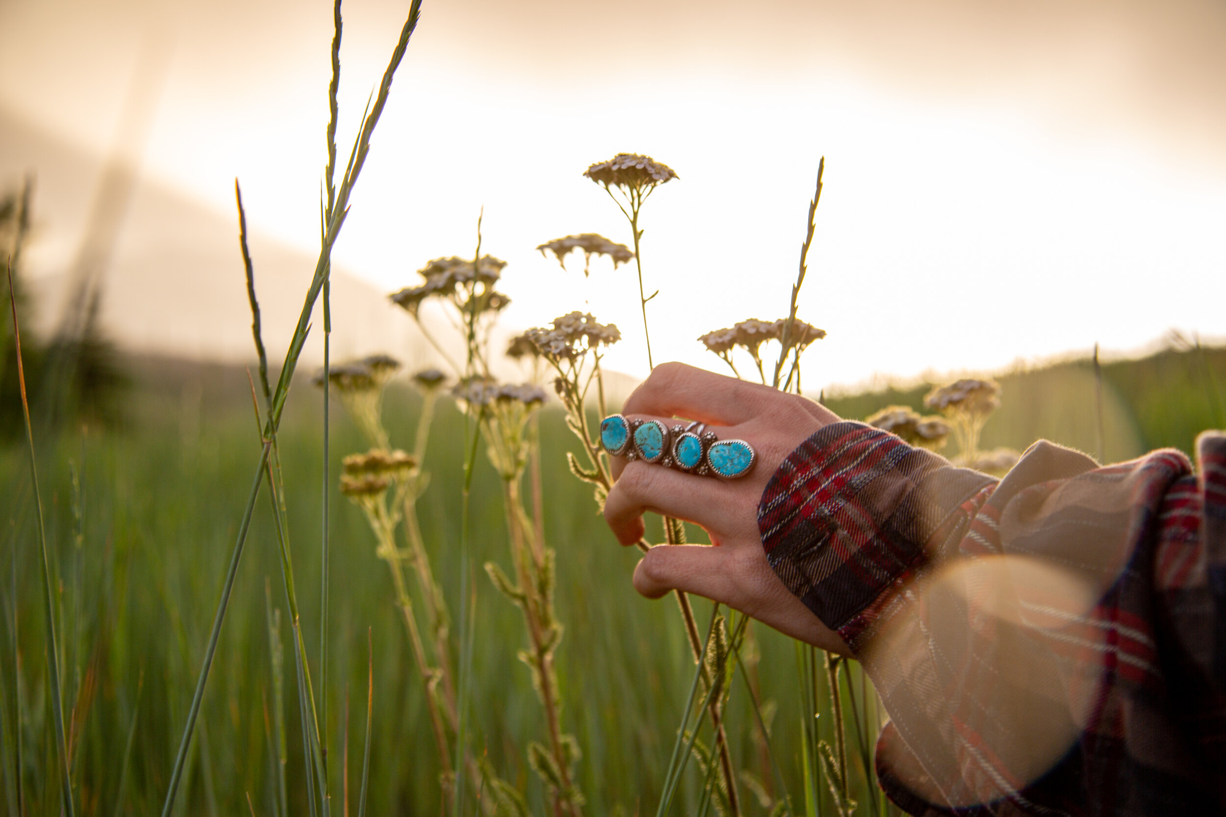 denver - edit-36.JPG