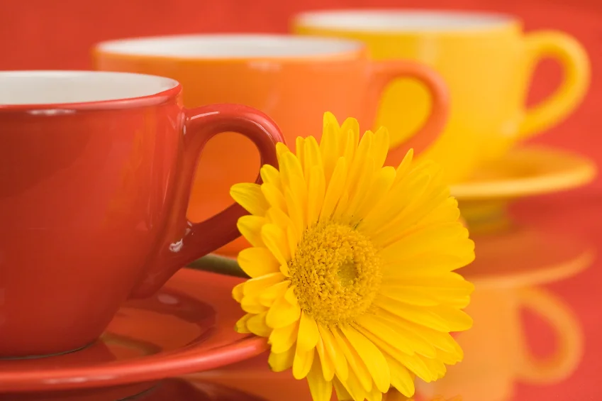 morning tea.jpg