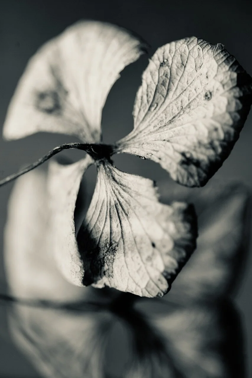86846360-3C15-45A8-A753-134B214324F6.jpeg