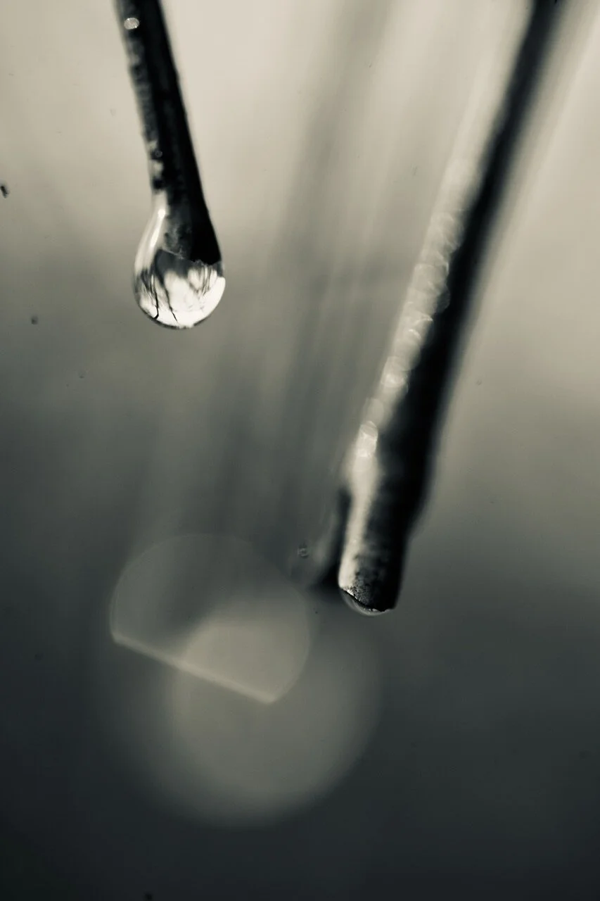 EC61B8EA-95A4-469C-8E45-931CE5DA31DF.jpeg