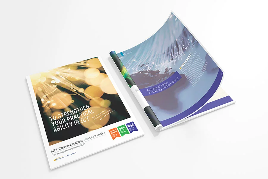 NTT - Trainee Degree Programme