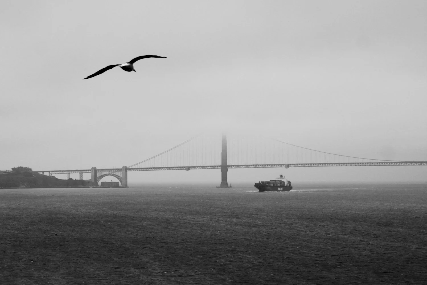 The top of San Francisco's Bay Bridge disappears in the afternoon fog.