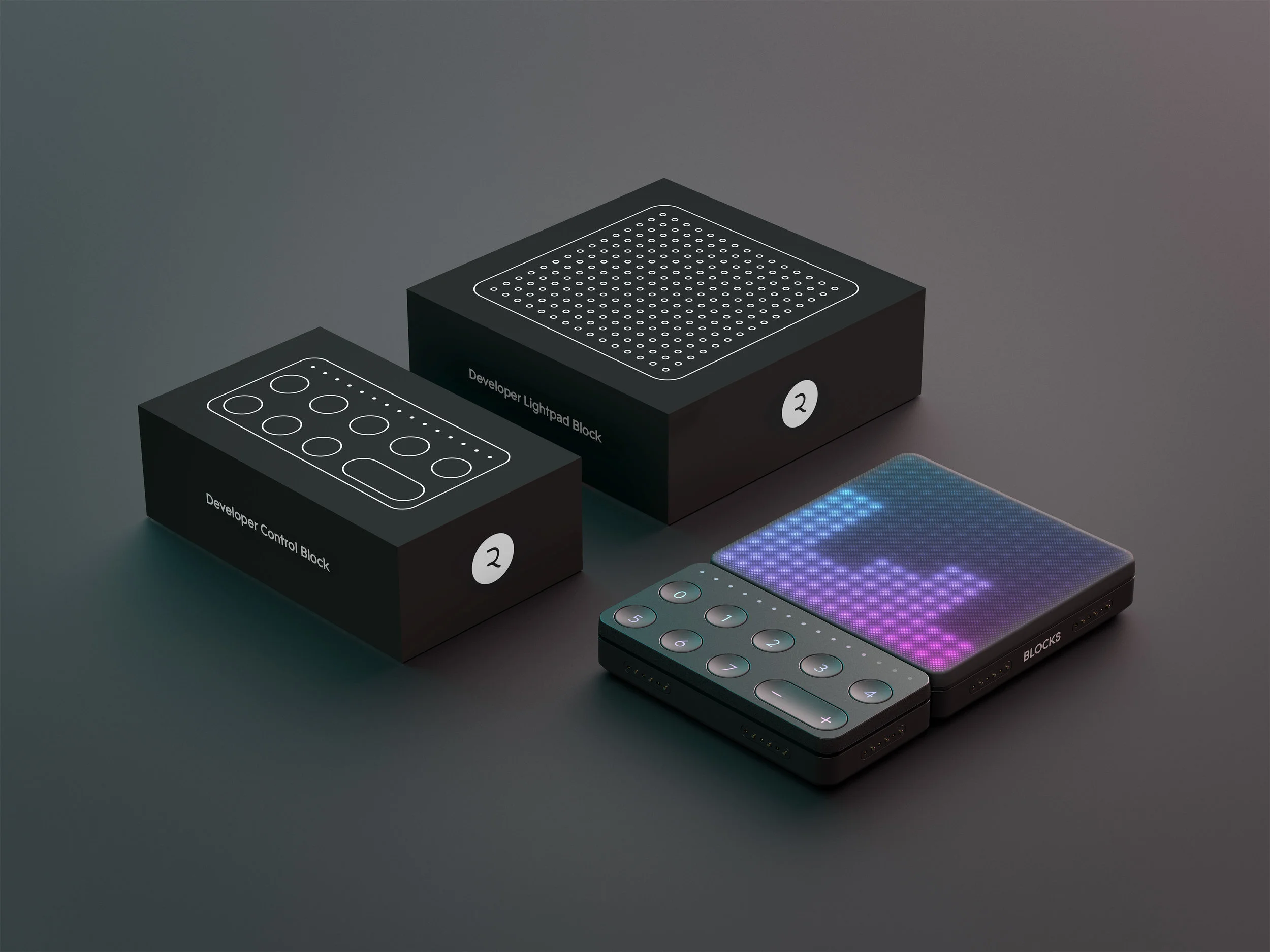 Packages for the developer version of the BLOCKS system
