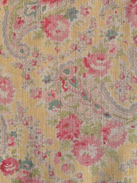 vintage paisley custard