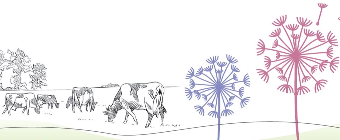 cow+footer.jpg