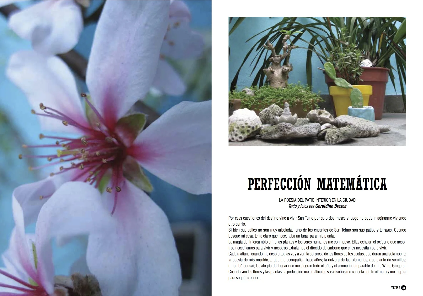 telma.jpg