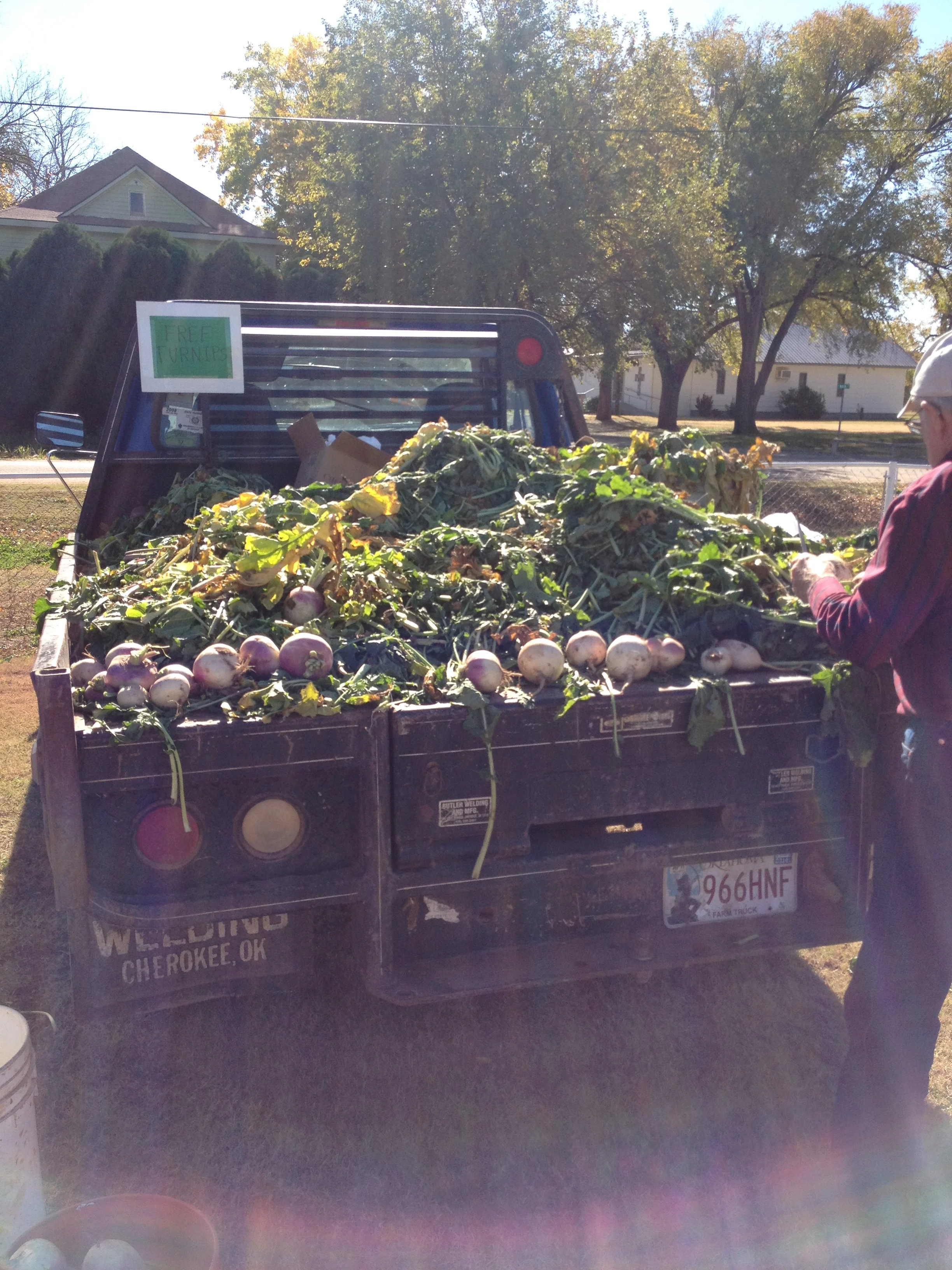 TURNIPS!! (Copy)