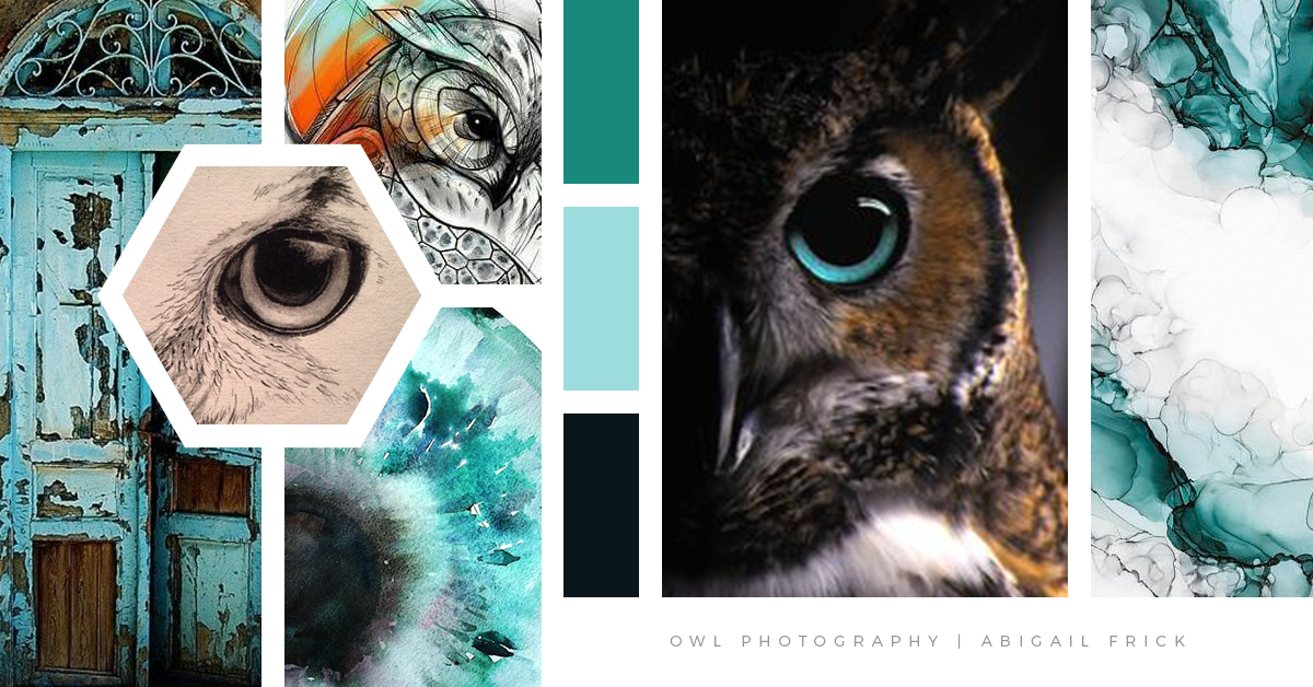 OWL PHOTOGRAPHY - Moodboard 1.png