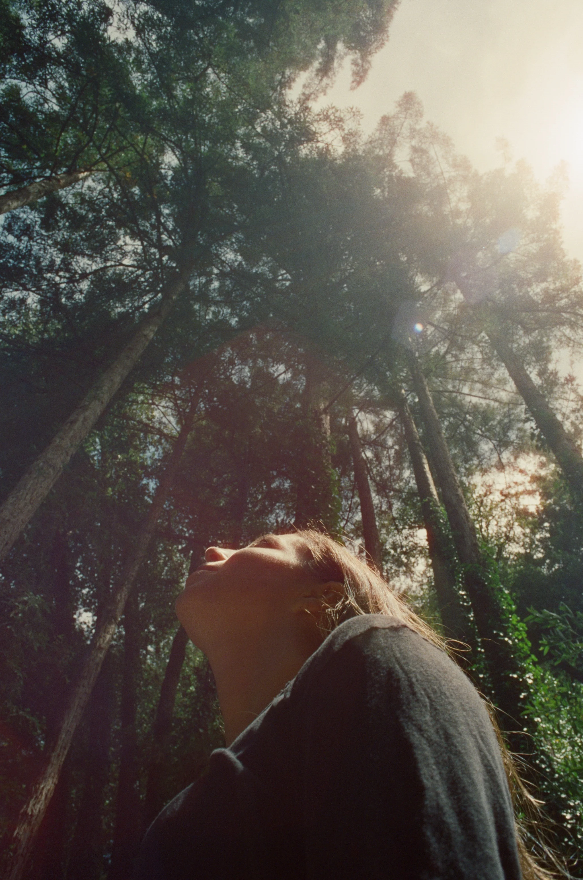 Mill Valley, California