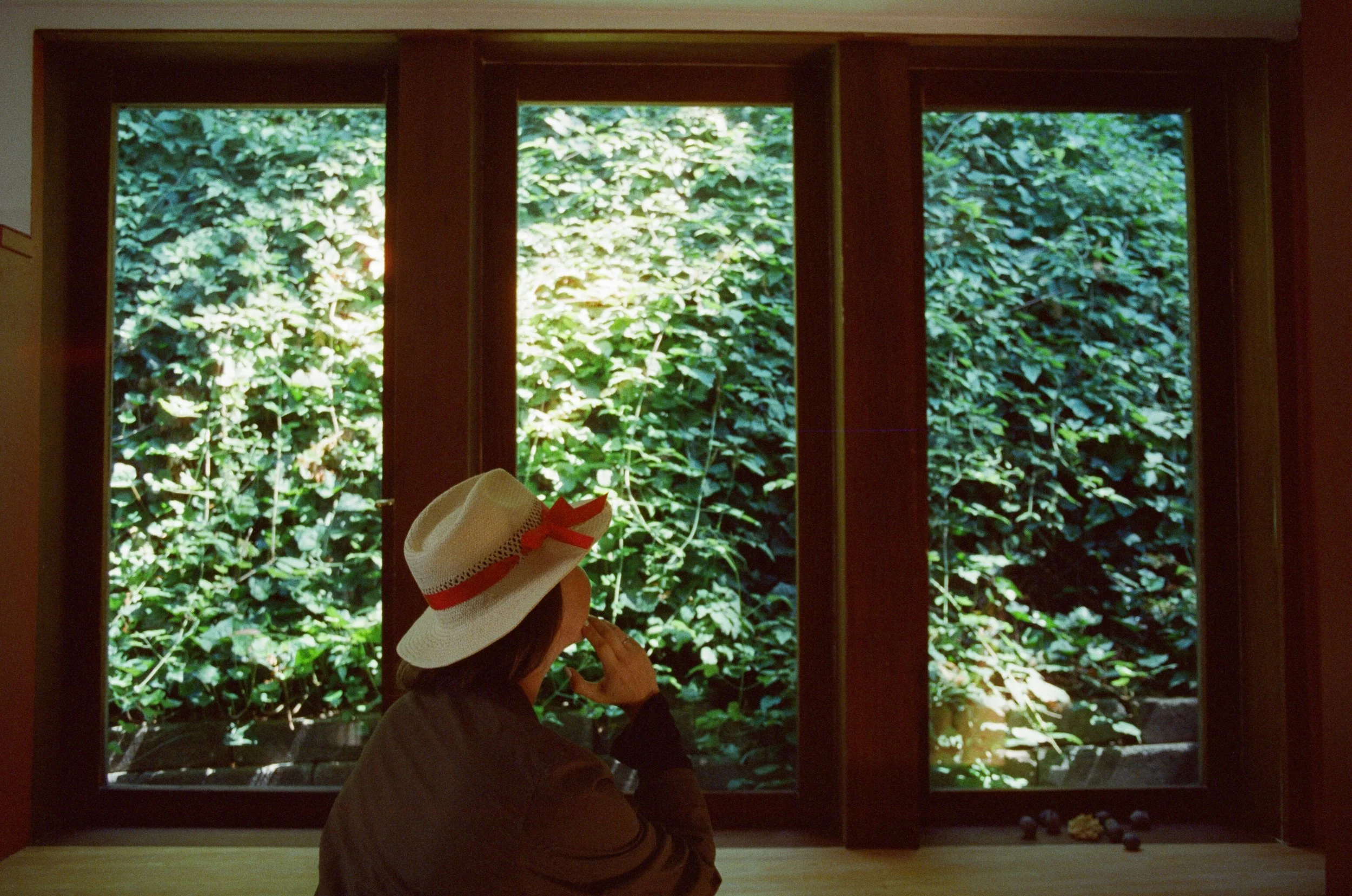 Mill Valley, California