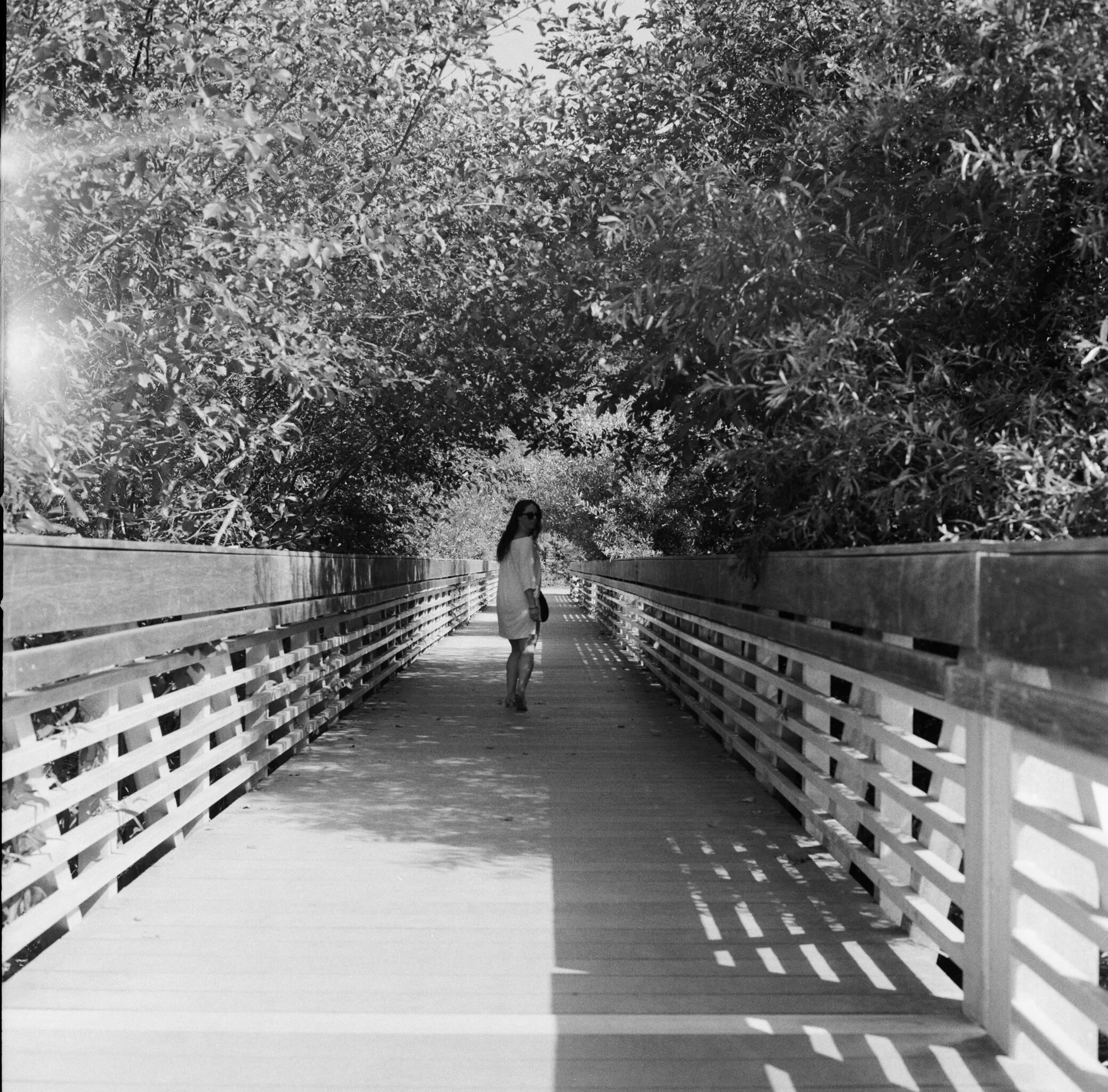 Muir Beach, California