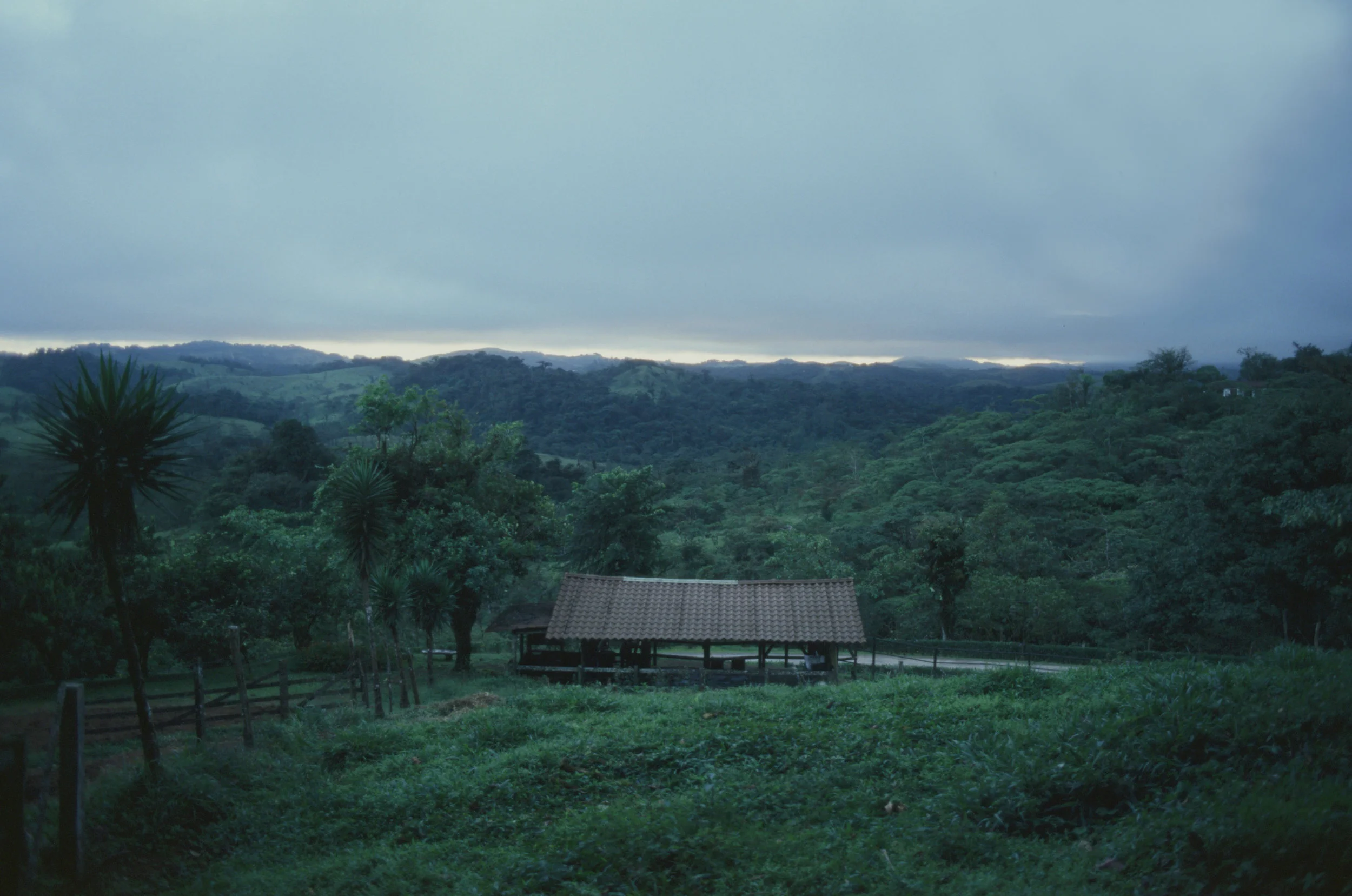 43230026-edit.jpg