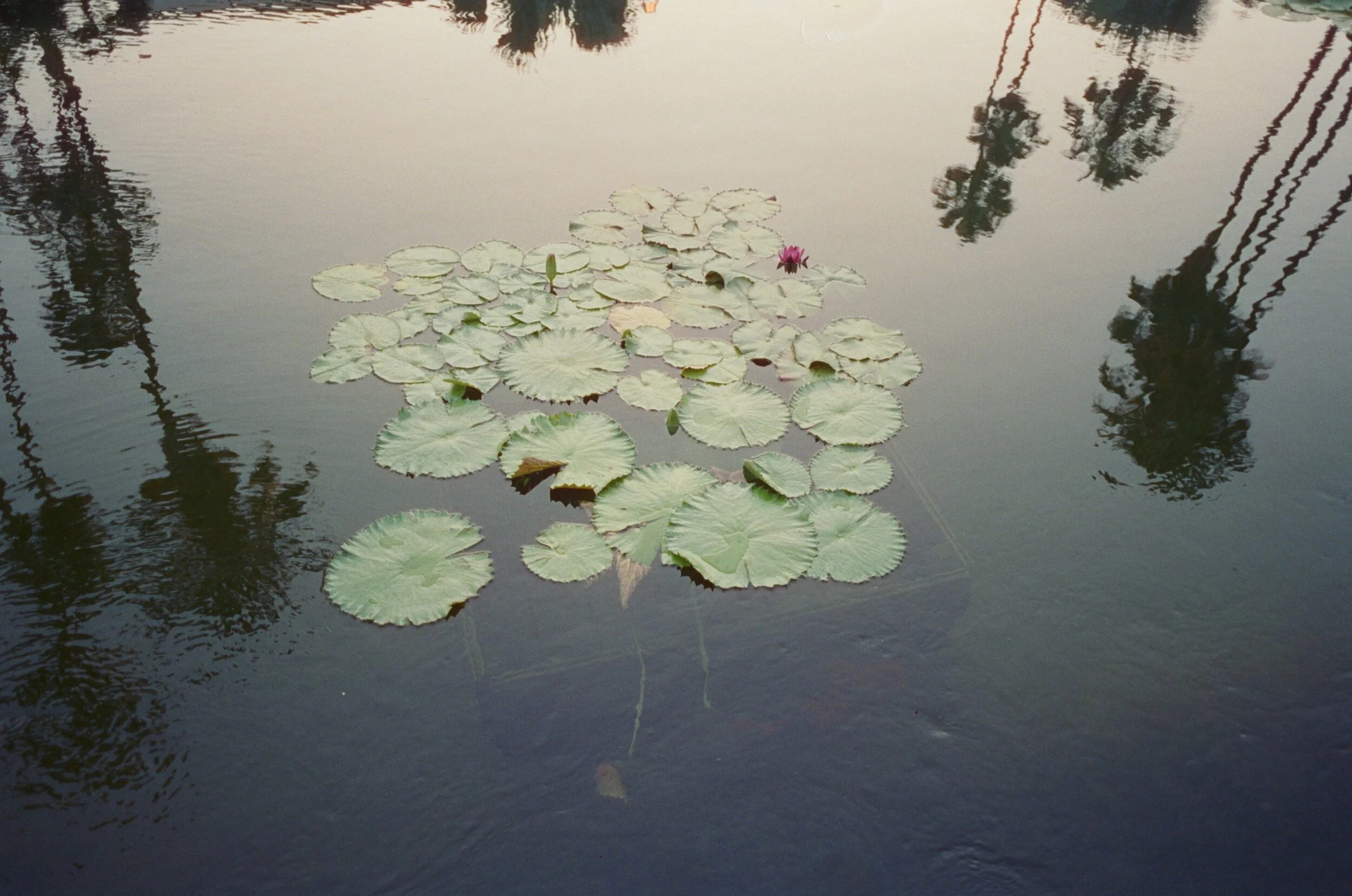 324471-1-0023.jpg