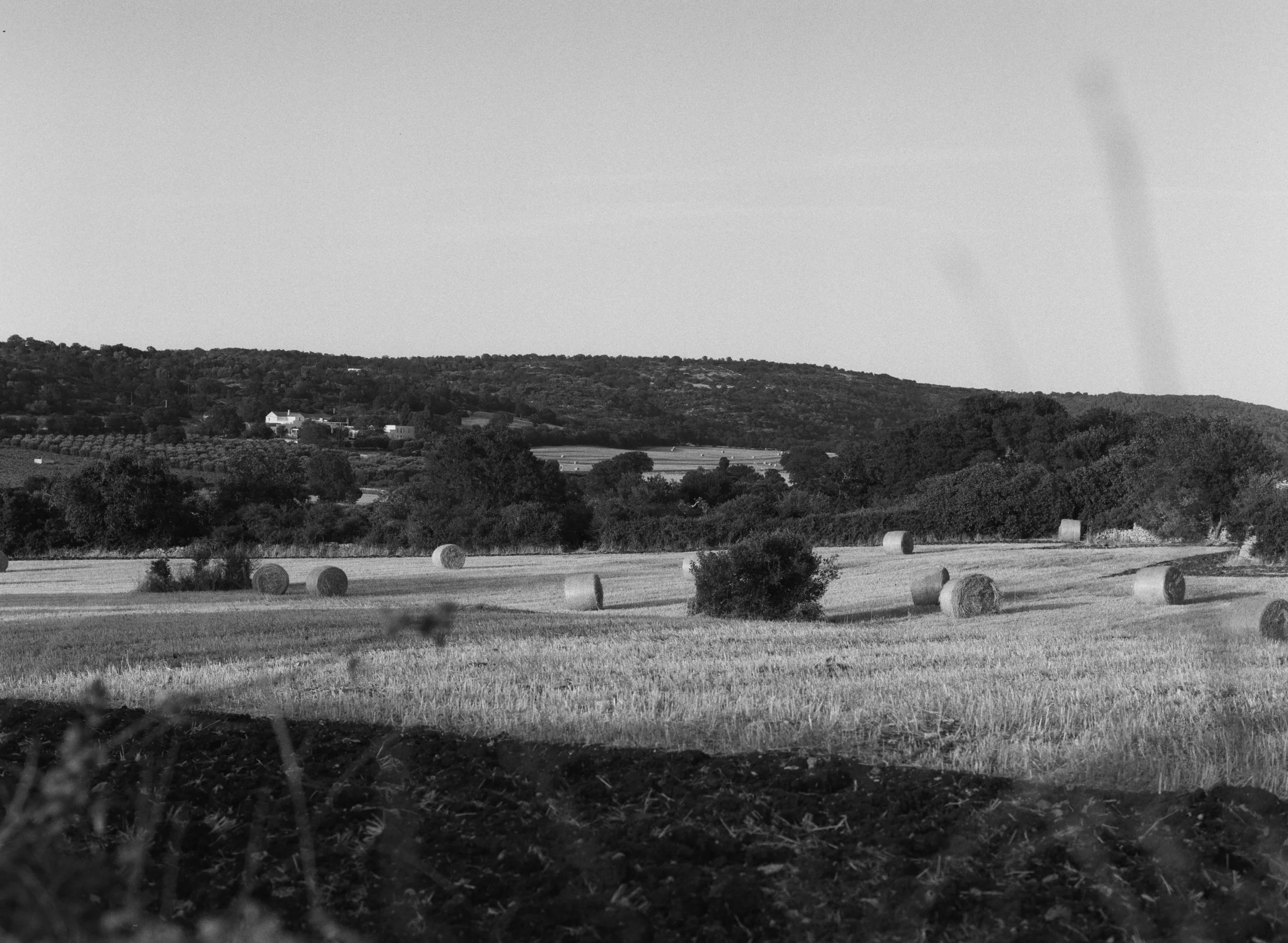 BW53298-3-006.jpg