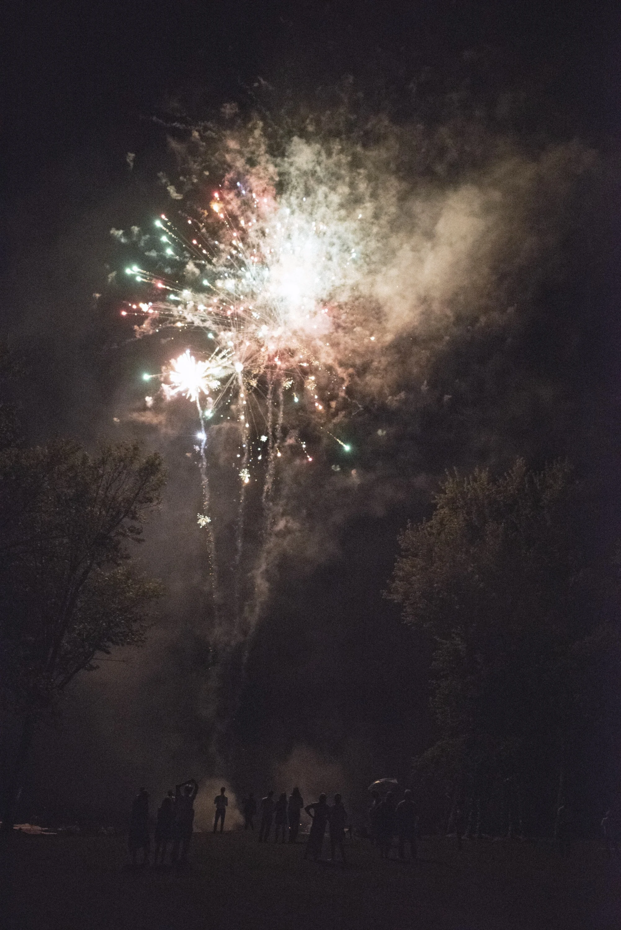 DSC_3174.jpg